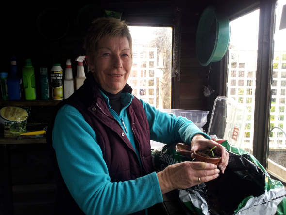 Gardening Tips for April with Sandra Dring, Sutton on Sea Horticultural Society